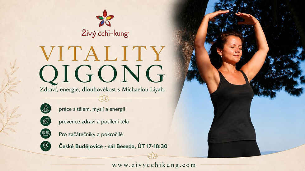 České Budějovice: Vitality Qigong - kurz 15 lekcí od září