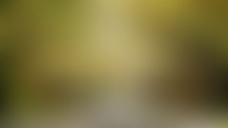 25 Places You Can’t Miss if Visiting Savannah, GA