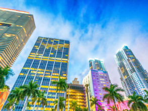 8 Miami-Based Companies with Great Branding