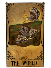 Mother_Shipton_Moth.png