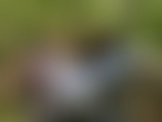 Happiness can be spending time with your kids