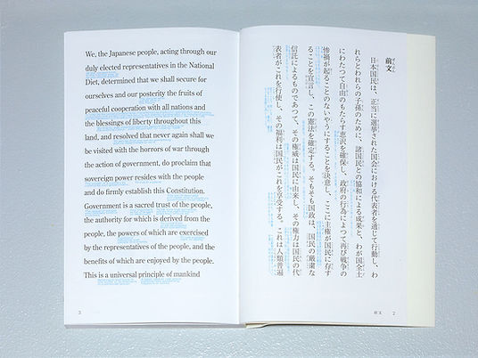 日本国憲法 | 美術