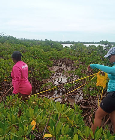 WhatsApp Image 2023-05-29 at 7.51.41 PM.jpeg