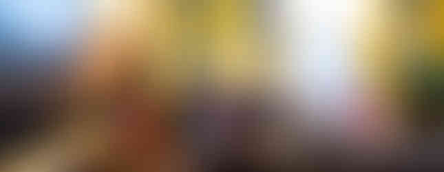 Portraits des anciens propriétaires du Château d'Alteville