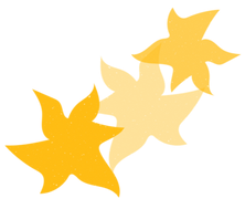 Untitled design_edited_edited.png