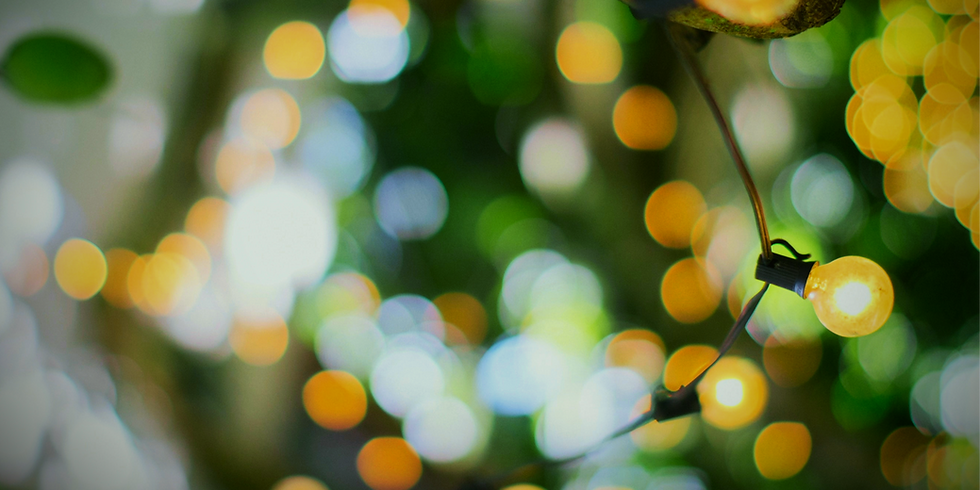 TropicalYellowLights&Foliage_edited_edited_edited_edited.png