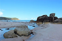IMG_5785_edited.jpg