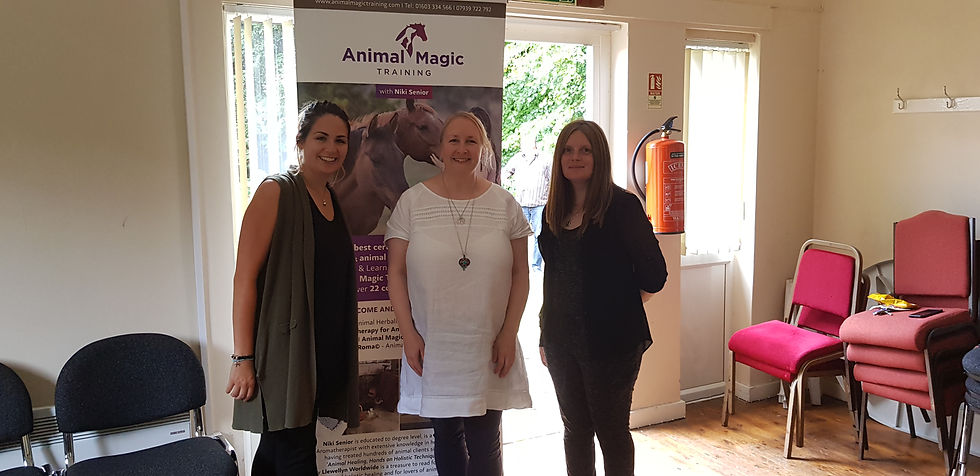 Niki Senior, Animal Communication