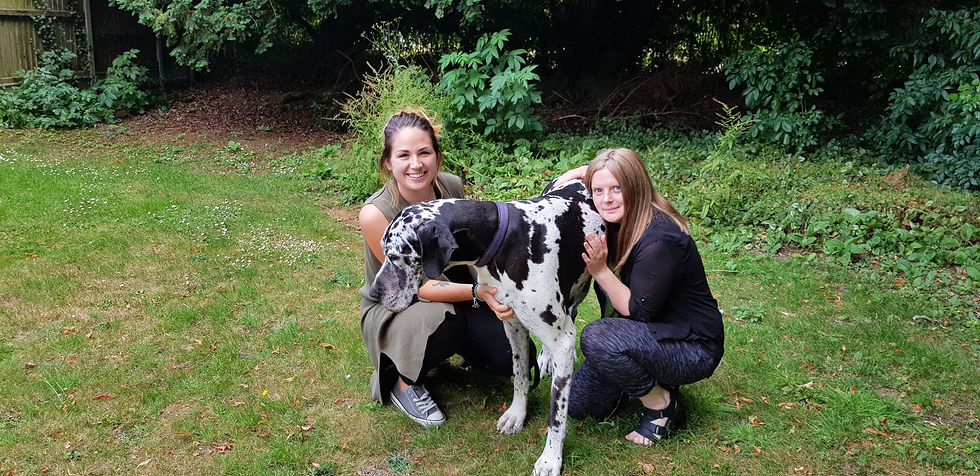 Animal Communication