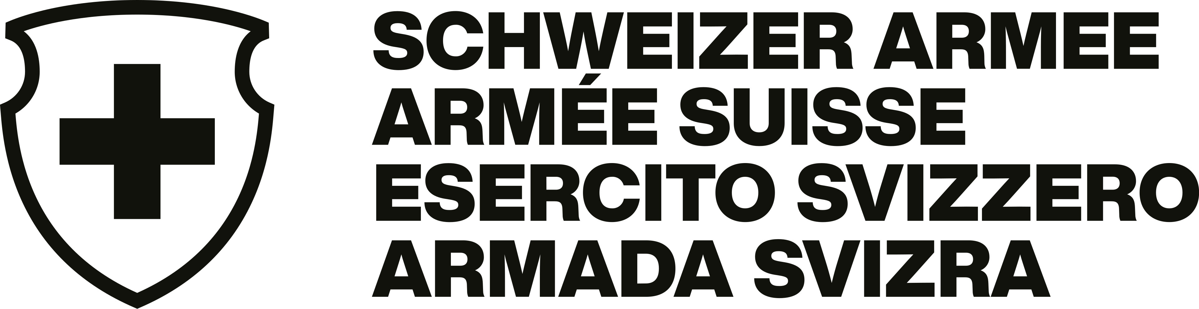 Swiss_army_logo_2023_DFIR.svg.png