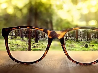 Spectacle glasses in a forest
