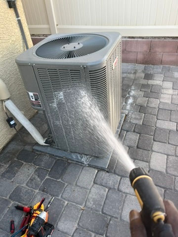 ree
