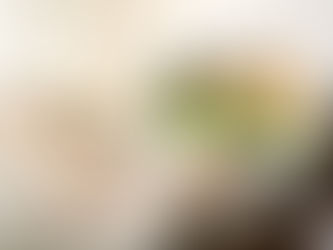 Are you an NRI wanting to invest in real estate?