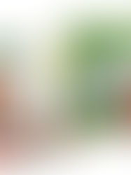 Novos Clientes: Pão de Açúcar passa a vender produtos Taeq em vending machines