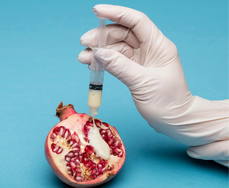 WhatsApp Image 2024-08-02 at 23.41_edited.png