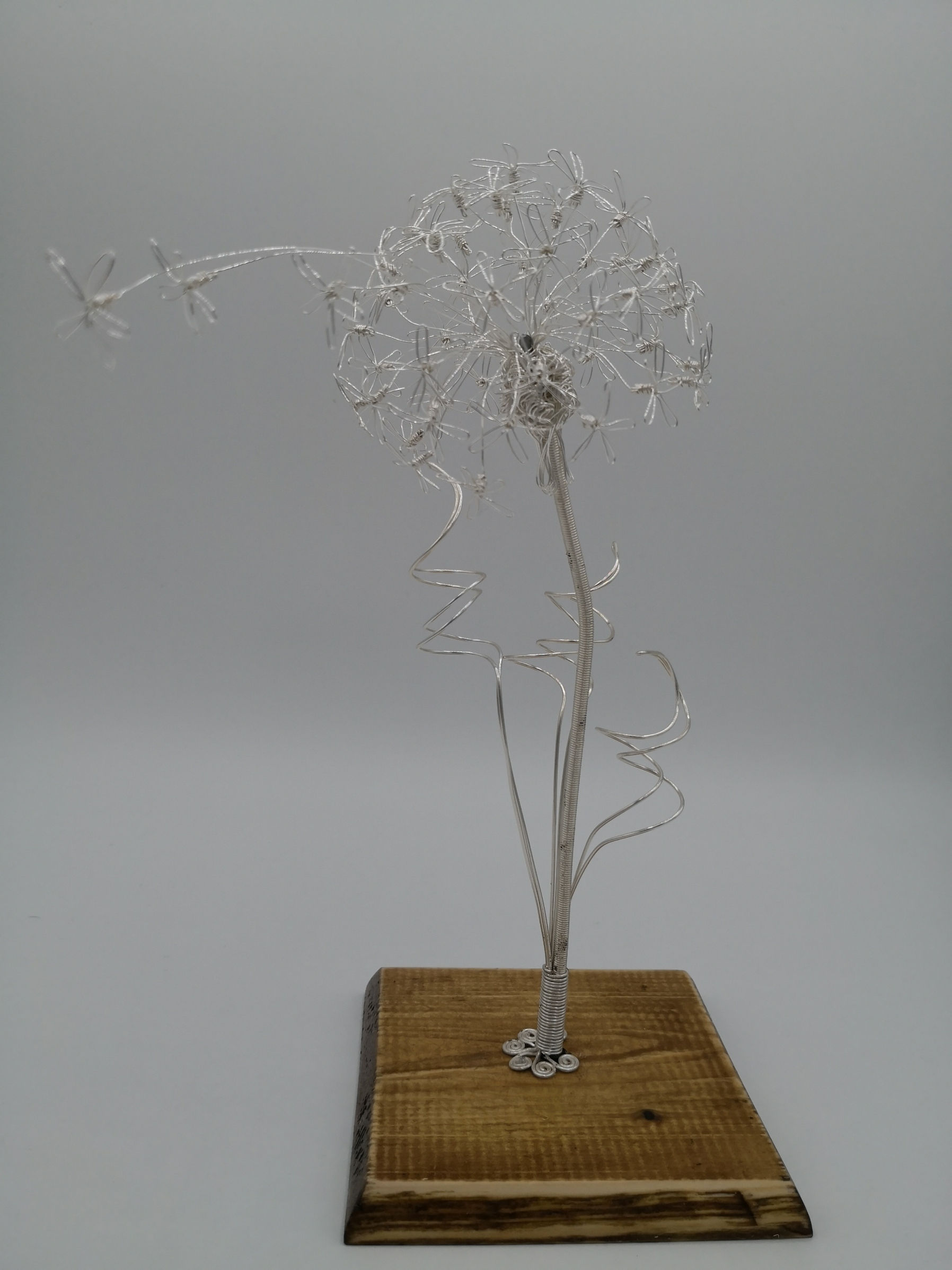 Dandelion Official Flower of The Military Kids Handmade Wire sculpture