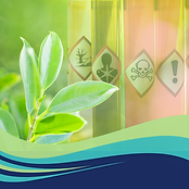 Environmental chemistry (1).png