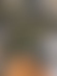 the light has arrived