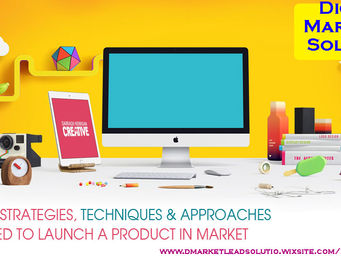 Brand Management
