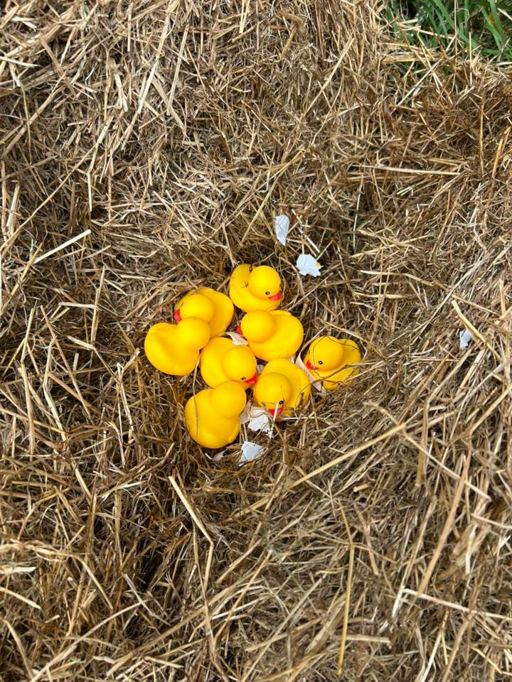 Photos from Easter Egg Hunt
