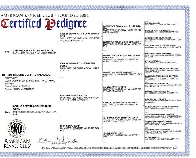 Document_2024-11-08_192225Penny's 4 generation pedigree.jpg