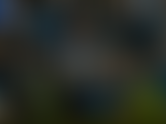 Match Weeks 2, 3 & Transfer Window