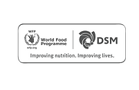 wfp_dsm_logo_for_web_edited.png