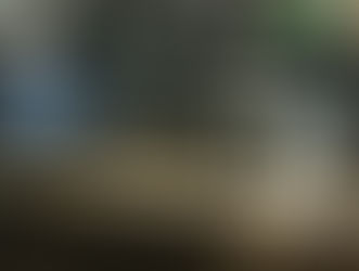 THE BEST FADES IN TEXAS