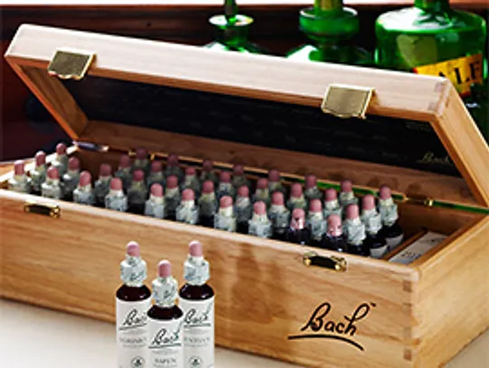 Bach Cicekleri Istanbul Iste Mutluluk