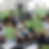 adbookweb_prepas01