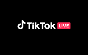 Become an ai_licia Brand Ambassador on TikTok Live