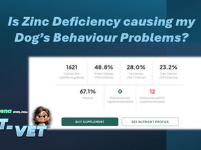 Is Zinc Deficiency causing your Dog's Behaviour Problems?
