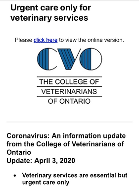 COVID-19: Updates for Ontario Veterinarians