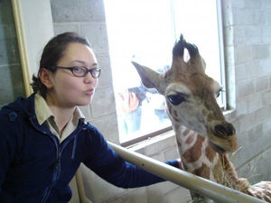How I Became a Veterinarian - Part 1