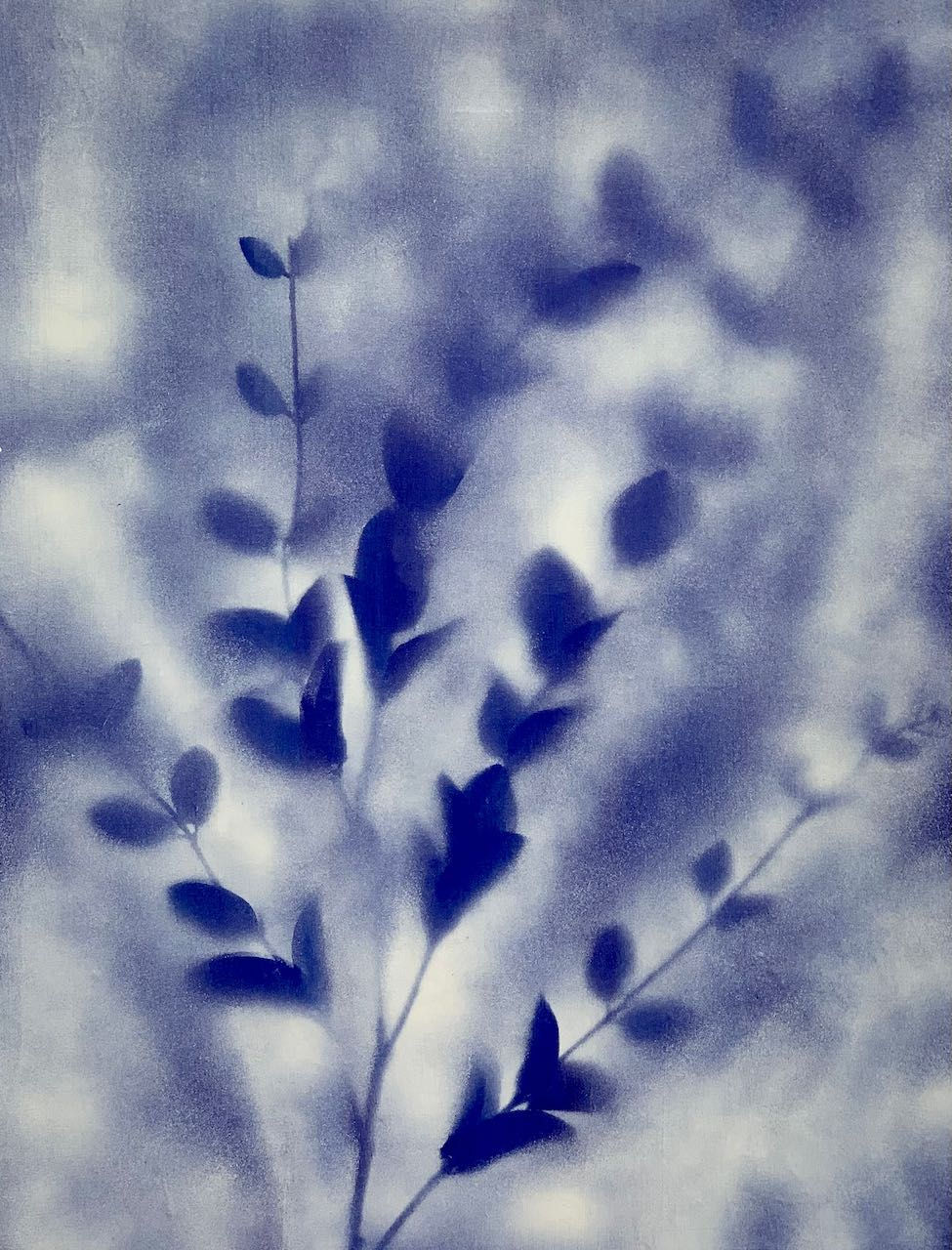 veronica snow