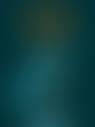 Review of Other Birds by Sarah Addison Allen