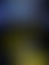 Review of One Step Too Far (Frankie Elkin #2) by Lisa Gardner