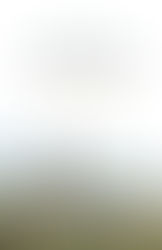 Six Riveting Backlist Reads