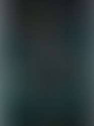 Review of The Last Magician by Lisa Maxwell