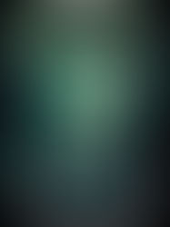 Three Books I'm Reading Now, 12/9/24 Edition