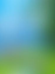 Review of Culpability by Bruce Holsinger