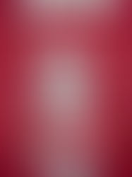 Review of Good Girl, Bad Blood (A Good Girl's Guide to Murder #2) by Holly Jackson