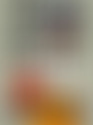 Review of The Heaven & Earth Grocery Store by James McBride