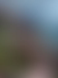 Review of What the Mountains Remember by Joy Callaway