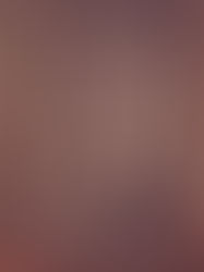 Review of Once There Were Wolves by Charlotte McConaghy