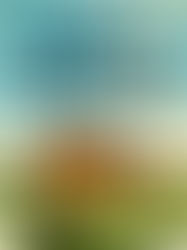 Review of North Woods by Daniel Mason