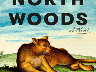 Review of North Woods by Daniel Mason