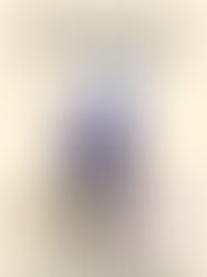 Six Nonfiction and Memoir Reads I Loved in the Past Year