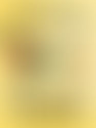 Review of Let Us Descend by Jesmyn Ward