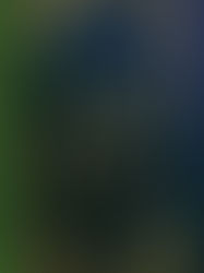 Review of The Tainted Cup (Shadow of the Leviathan #1) by Robert Jackson Bennett